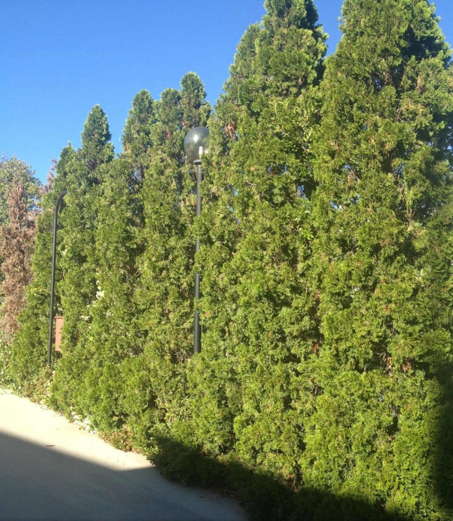 קווינביאן Crest Motor Inn מראה חיצוני תמונה
