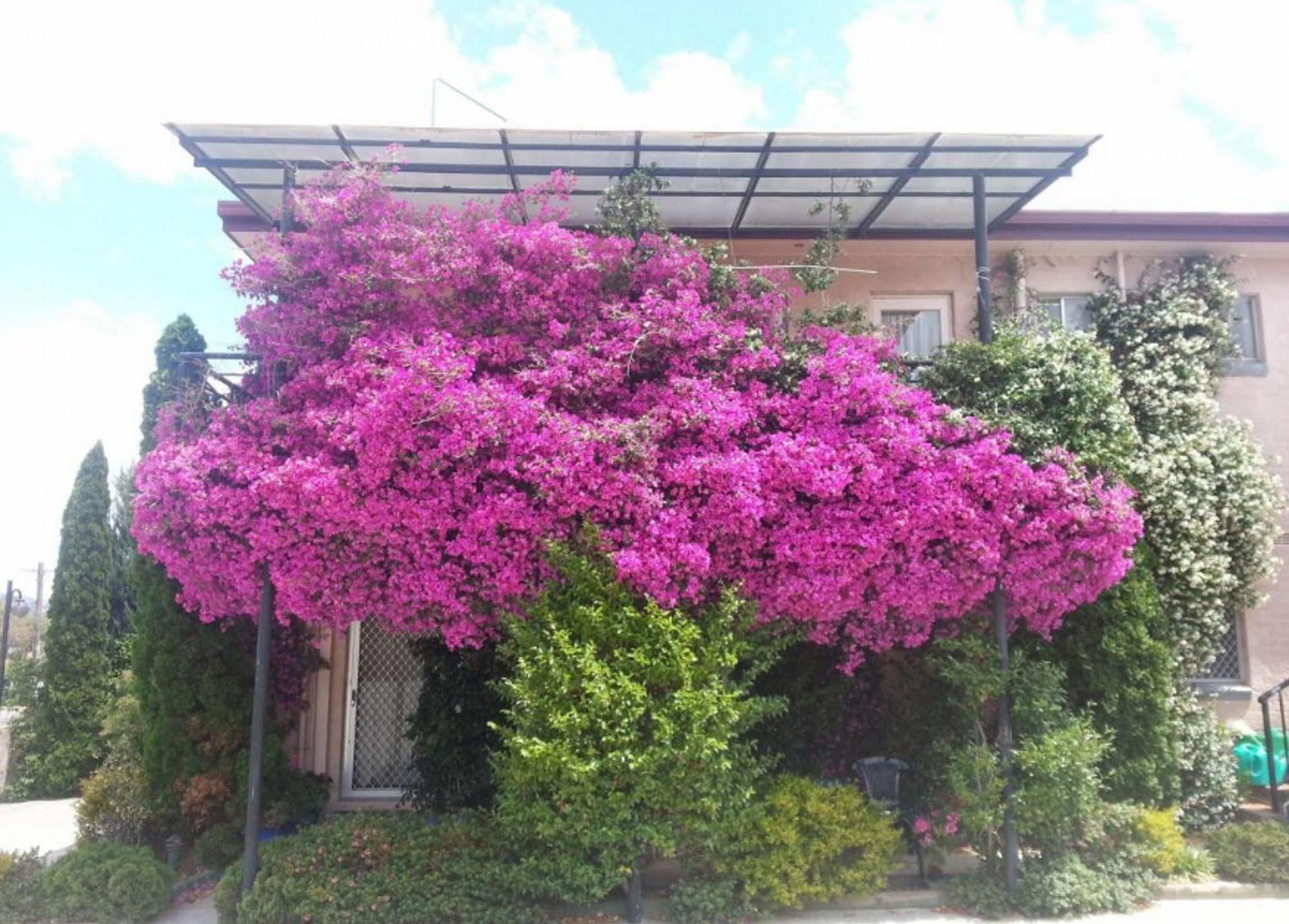 קווינביאן Crest Motor Inn מראה חיצוני תמונה
